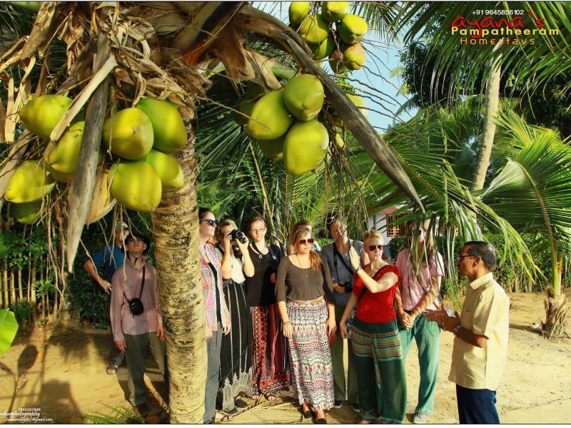 Ayana'S Homestay Alappuzha Bagian luar foto