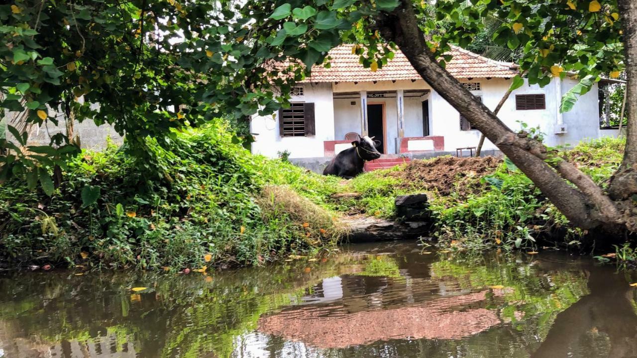 Ayana'S Homestay Alappuzha Bagian luar foto